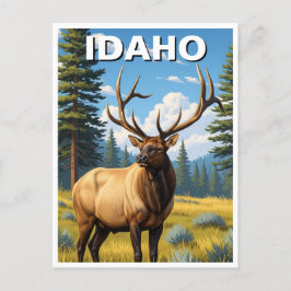 Elk in Idaho Briefkaart