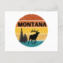 Elk in Montana