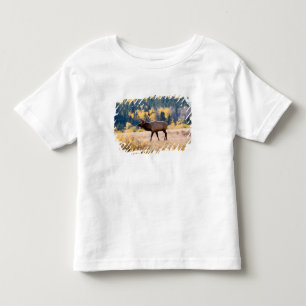 Elk in Rocky Mountain National Park, Colorado Kinder Shirts