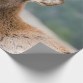 ELK IN ROCKY MOUNTAIN NATIONAL PARK - ELK HERDS GR CADEAUPAPIER (Hoek)