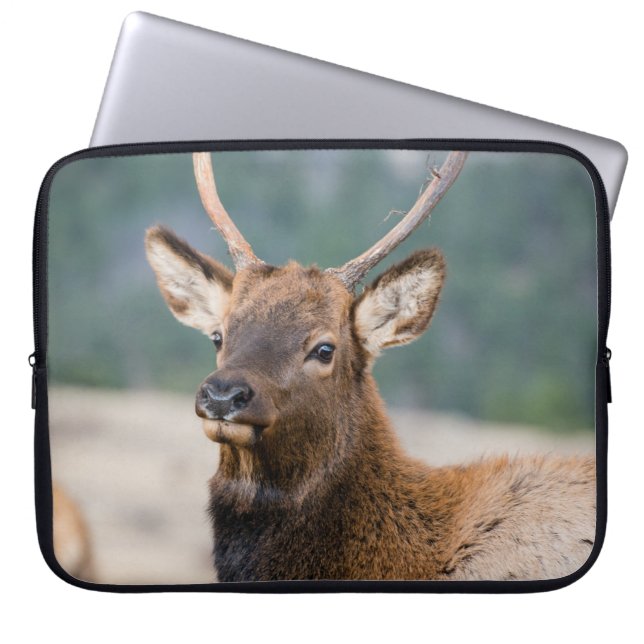 ELK IN ROCKY MOUNTAIN NATIONAL PARK - ELK HERDS GR LAPTOP SLEEVE (Voorkant)