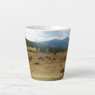 Elk in Rocky Mountain National Park latte mok