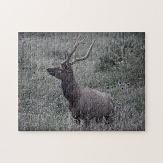 Elk in Rocky Mountain National Park Puzzle Legpuzzel (Horizontaal)