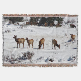 Elk in sneeuw gooien deken