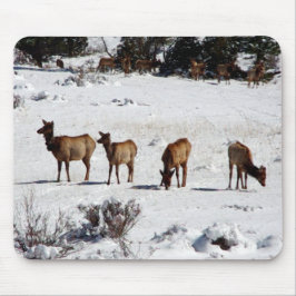 Elk in sneeuwmousepad muismat