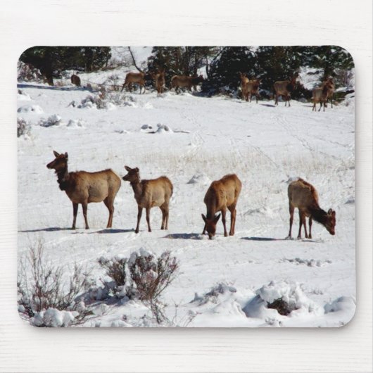 Elk in sneeuwmousepad muismat (Voorkant)