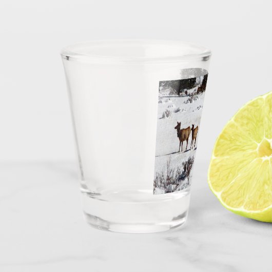 Elk in sneeuwschotglas shot glas (Links)