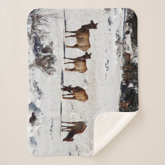 Elk in sneeuwsherpa blanket sherpa deken (Voorkant)