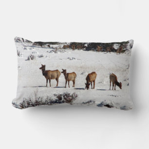 Elk in sneeuwstaartje kussen