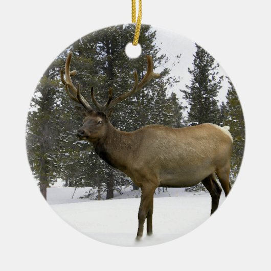 Elk in Winter Ornament (Voorkant)