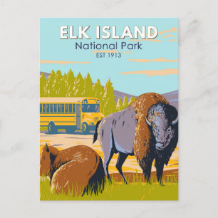 Elk Island National Park Canada Bison  Briefkaart