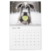 Elk jaar 🎾 Tennis en 🐕Puppies Kalender (Jan 2026)