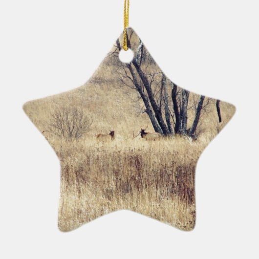 Elk Keramisch Ornament (Voorkant)