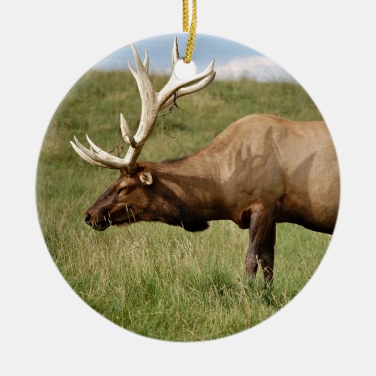 Elk Keramisch Ornament (Voorkant)