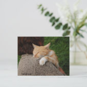 Elk kind is een kind briefkaart (Staand voorkant)