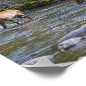 Elk kudde in de Big Thompson rivier Poster (Hoek)