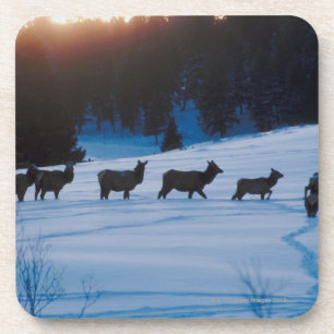 Elk kudde loopt door het veld onderzetter