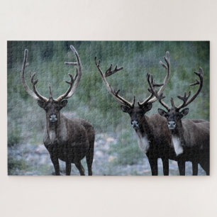 Elk kudde Mt. Baring, Washington Legpuzzel