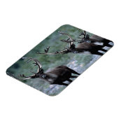 Elk kudde | Mt. Baring, Washington Magneet (Linkerzijde)