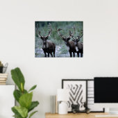Elk kudde | Mt. Baring, Washington Poster (Thuiskantoor)