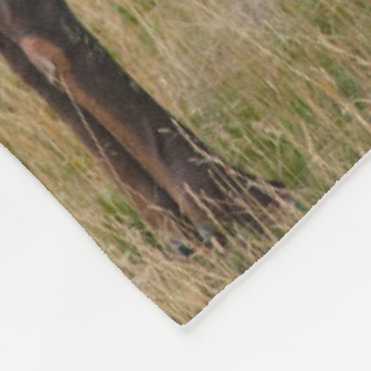 Elk Lake Village Yellowstone National Park Wyoming Fleece Deken (Hoek)