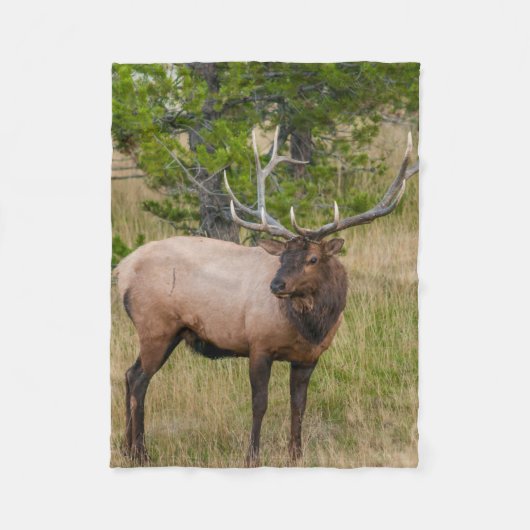 Elk Lake Village Yellowstone National Park Wyoming Fleece Deken (Voorkant)