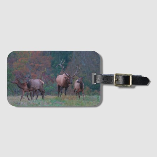Elk Luggage Tag Bagagelabel (Voorkant (horizontaal))