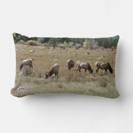 Elk lumbar pillow kussen