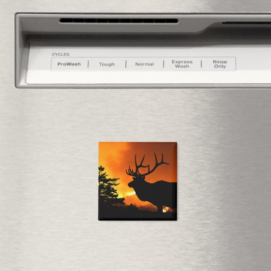 Elk Magneet (Insitu (Vaatwasser))