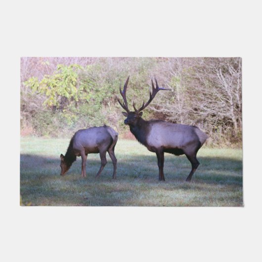 Elk Mat (Voorkant)