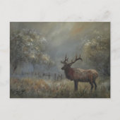 Elk Meadow Ansichtkaart Briefkaart (Voorkant)