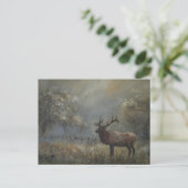 Elk Meadow Ansichtkaart Briefkaart (Staand voorkant)