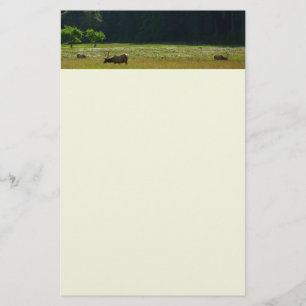 Elk Meadow in Redwood National Park Briefpapier