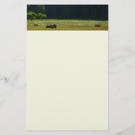 Elk Meadow in Redwood National Park Briefpapier (Voorkant)