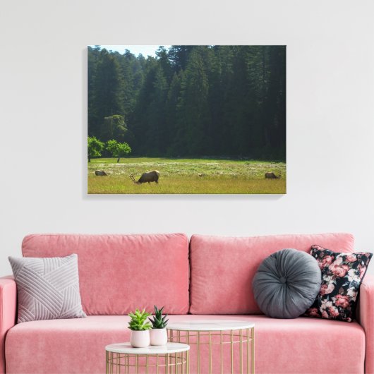 Elk Meadow in Redwood National Park Canvas Afdruk (Insitu (Woonkamer))