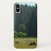 Elk Meadow in Redwood National Park Case-Mate iPhone Case (Achterkant)