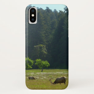 Elk Meadow in Redwood National Park Case-Mate iPhone Case