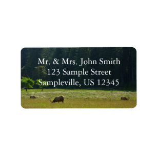 Elk Meadow in Redwood National Park Etiket