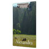 Elk Meadow in Redwood National Park Klembord (Links)