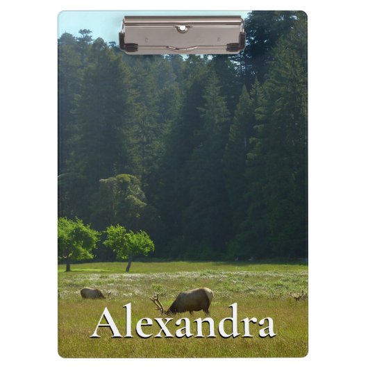 Elk Meadow in Redwood National Park Klembord (Voorkant)