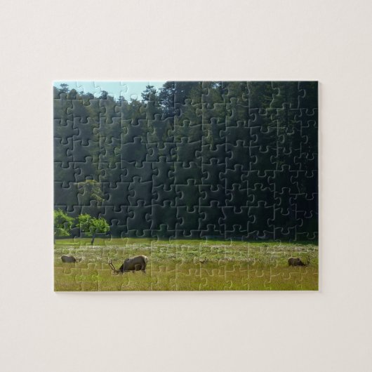 Elk Meadow in Redwood National Park Legpuzzel (Horizontaal)