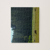 Elk Meadow in Redwood National Park Legpuzzel (Verticaal)