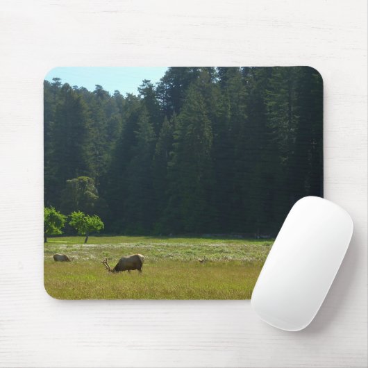 Elk Meadow in Redwood National Park Muismat (Met muis)