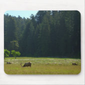 Elk Meadow in Redwood National Park Muismat (Voorkant)