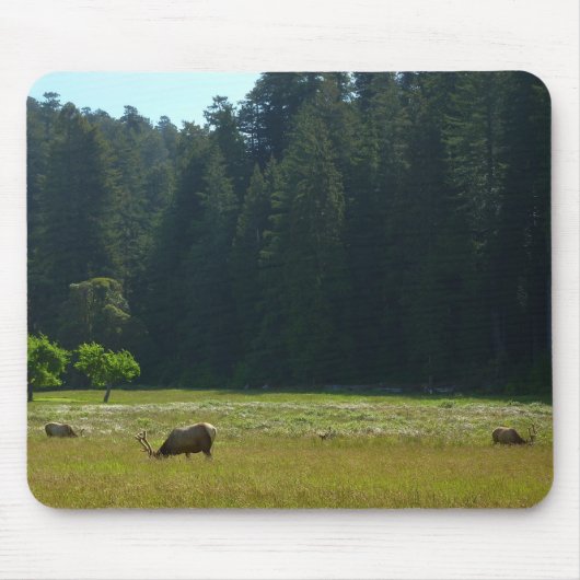 Elk Meadow in Redwood National Park Muismat (Voorkant)