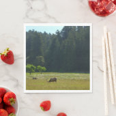 Elk Meadow in Redwood National Park Servet (Insitu)