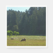 Elk Meadow in Redwood National Park Servet (Voorkant)