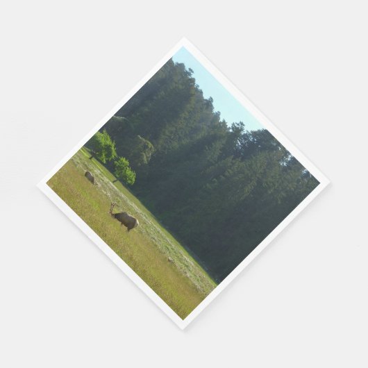 Elk Meadow in Redwood National Park Servet (Hoek)