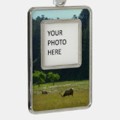 Elk Meadow in Redwood National Park Verzilverd Omlijst Ornament (Rechts)