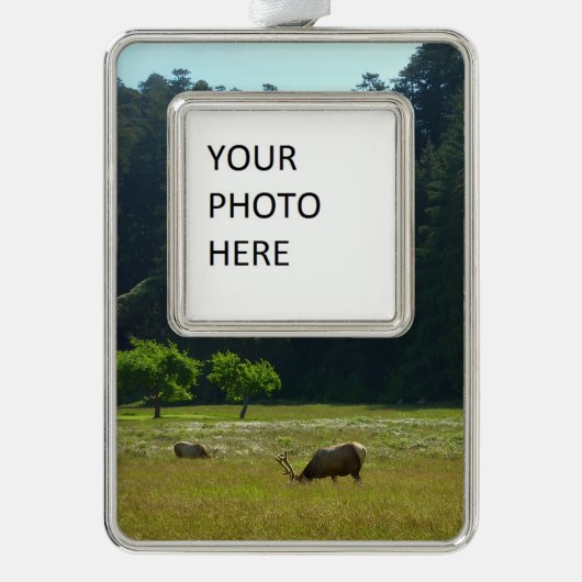 Elk Meadow in Redwood National Park Verzilverd Omlijst Ornament (Voorkant)